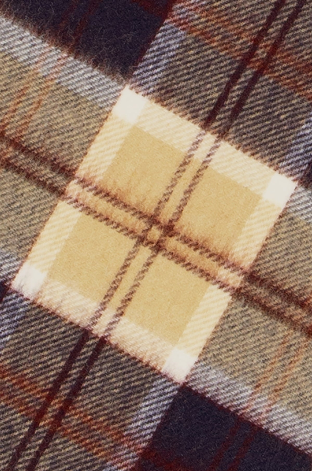 BANNOCKBANE NAVY